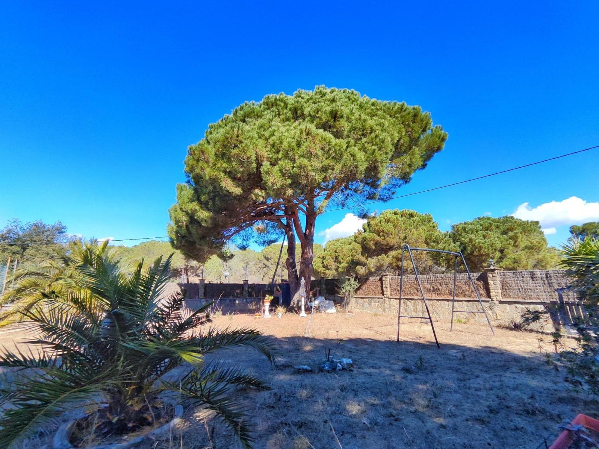 Casa Con Piscina Privada En Sant Pol De Mar Villa Eksteriør billede
